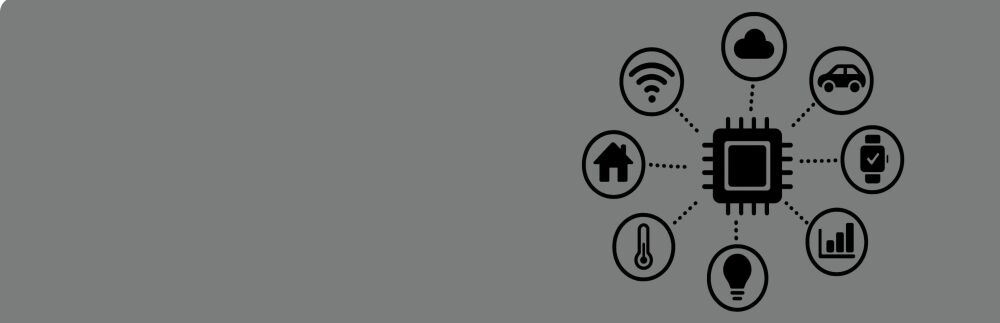 IoT